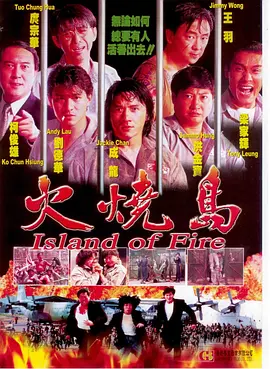 火烧岛 [1991][6.7分]-91资源社