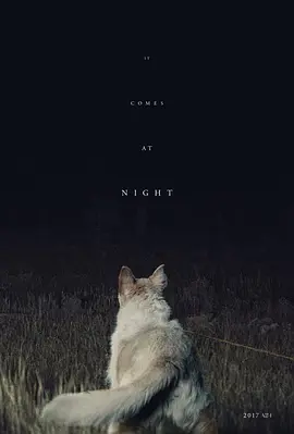 黑夜造访 [2017][6.0分] 阿里云盘,百度网盘1080P,MP4(百度,阿里,迅雷,夸克,UC云盘)