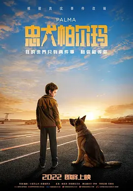 忠犬帕尔玛 [2021][8.7分] 阿里云盘,百度网盘1080P,MP4(百度,阿里,迅雷,夸克,UC云盘)