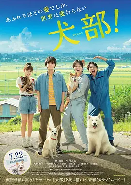 犬部！ [2021][6.9分] 阿里云盘,百度网盘1080P,MP4(百度,阿里,迅雷,夸克,UC云盘)